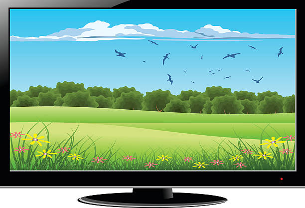تعمیر منبع تغذیه تلویزیون :عیبیابی و تست منبع تغذیه تلویزیون LCD 1 f 13 بردشاپ تعمیر منبع تغذیه تلویزیون :عیبیابی و تست منبع تغذیه تلویزیون LCD